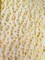 1 Yard Gold 3D Butterfly Stretch Mesh Fabric with Satin Appliqué for Fashion and Crafts 54 Inch Wide
